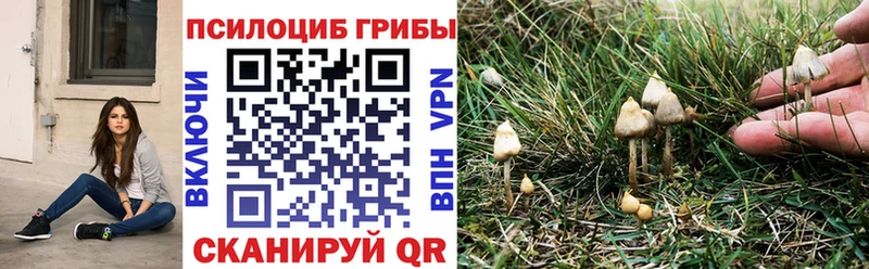 Псилоцибиновые грибы мухоморы  дарнет шоп  shop наркотические препараты  Кяхта 
